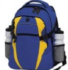 Zenith backpack